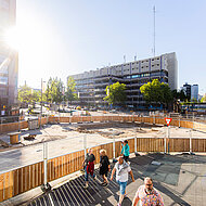 Baustellenabsicherung mit robusten Holzzäunen 