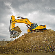 Als Wegbegleiter nachhaltiger Lösungen