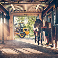 Von Kilowatt und Pferdestärken 