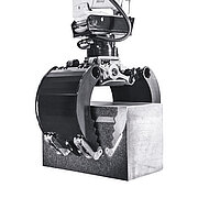 DMS ist ein »Wachstumschampion«