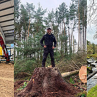 Yanmar unterstützt Saw Doctors Forestry mit leistungsstarken Maschinen