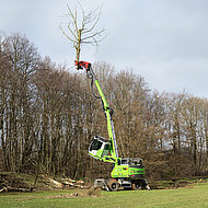 Sennebogen auf den Baumpflegetagen 2024