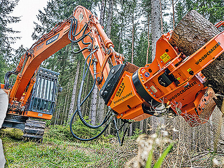 Baumagazin-Interview | Westtech: »Zum Glück wachsen Bäume immer weiter«