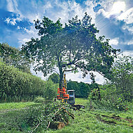 Kompaktbagger verwandelt sich in Fällmaschine
